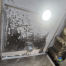 Mold remediation services singapore