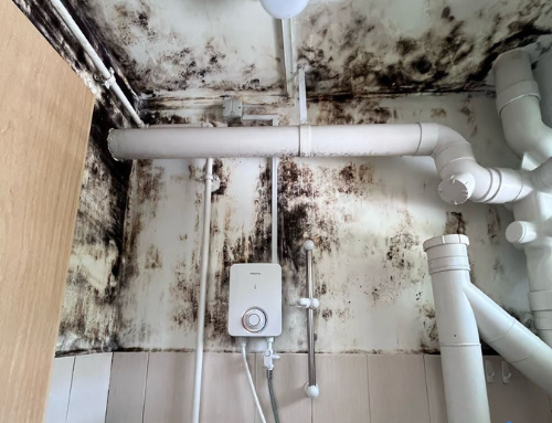Mold Remediation in Singapore: The Definitive Guide to Safe Removal & Permanent Prevention | Proshield