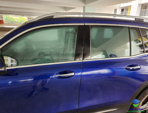 Professional Car Fumigation in Singapore: The Ultimate Guide to Removing Cockroaches for Good | Proshield