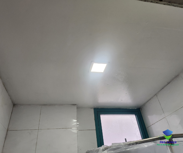 Mold 2 Mold remediation